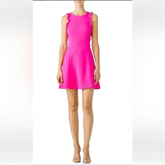 JAYGODFREY Dresses & Skirts - JayGodfrey Fuchsia Ruffle Fit & Flare Mini Dress Women’s Size 10
